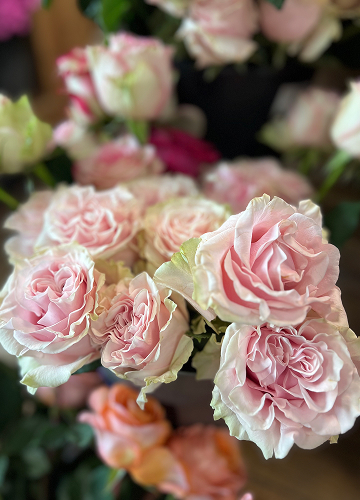Fleurs et prestations de Qualité à Nîmes (30)