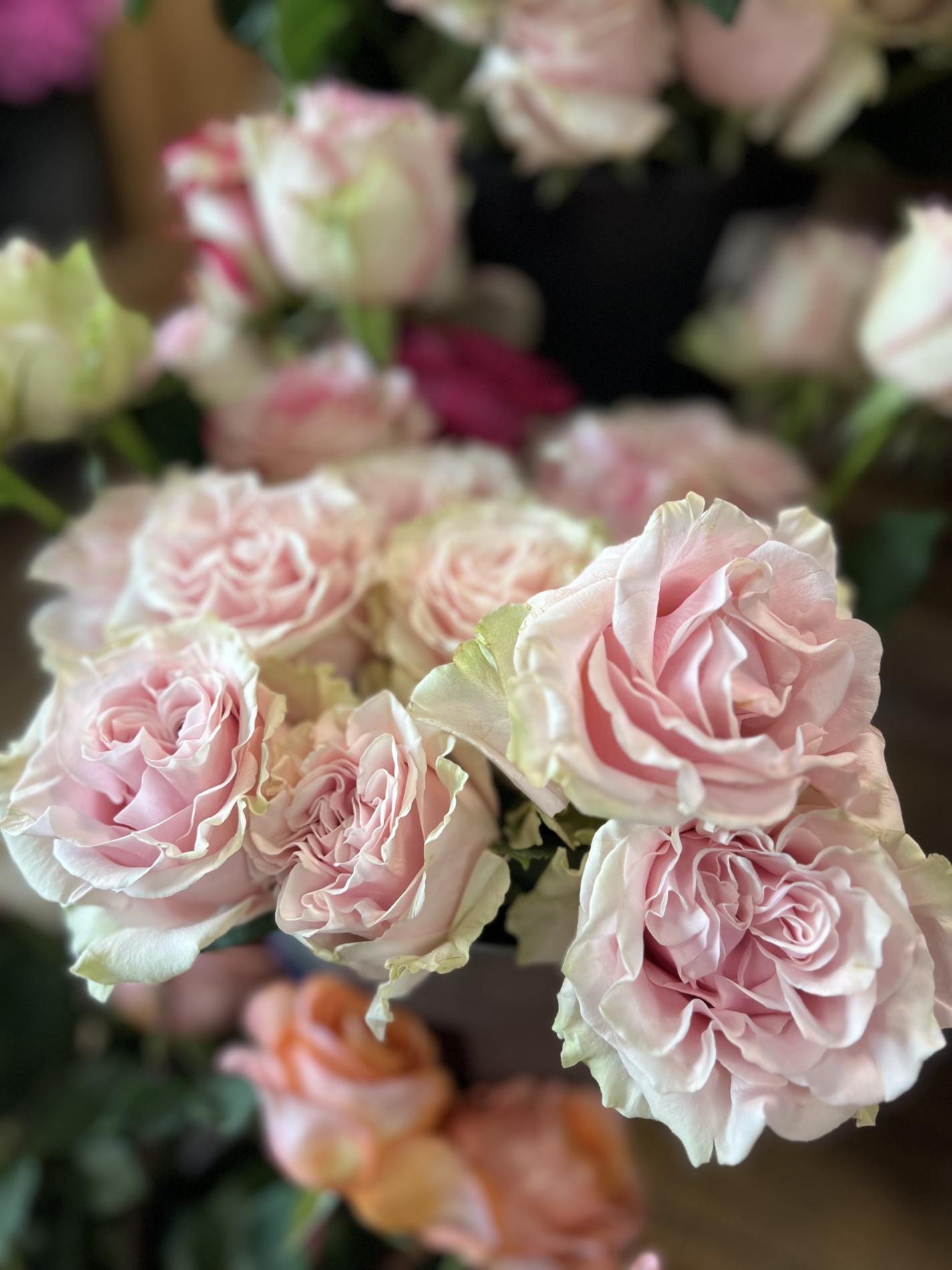 Fleurs coup&eacute;es